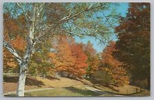 Tinmouth VT~Fall On Rt 140 Nr Poultney & Wallingford~PM 1961~Vintage Postcard picture