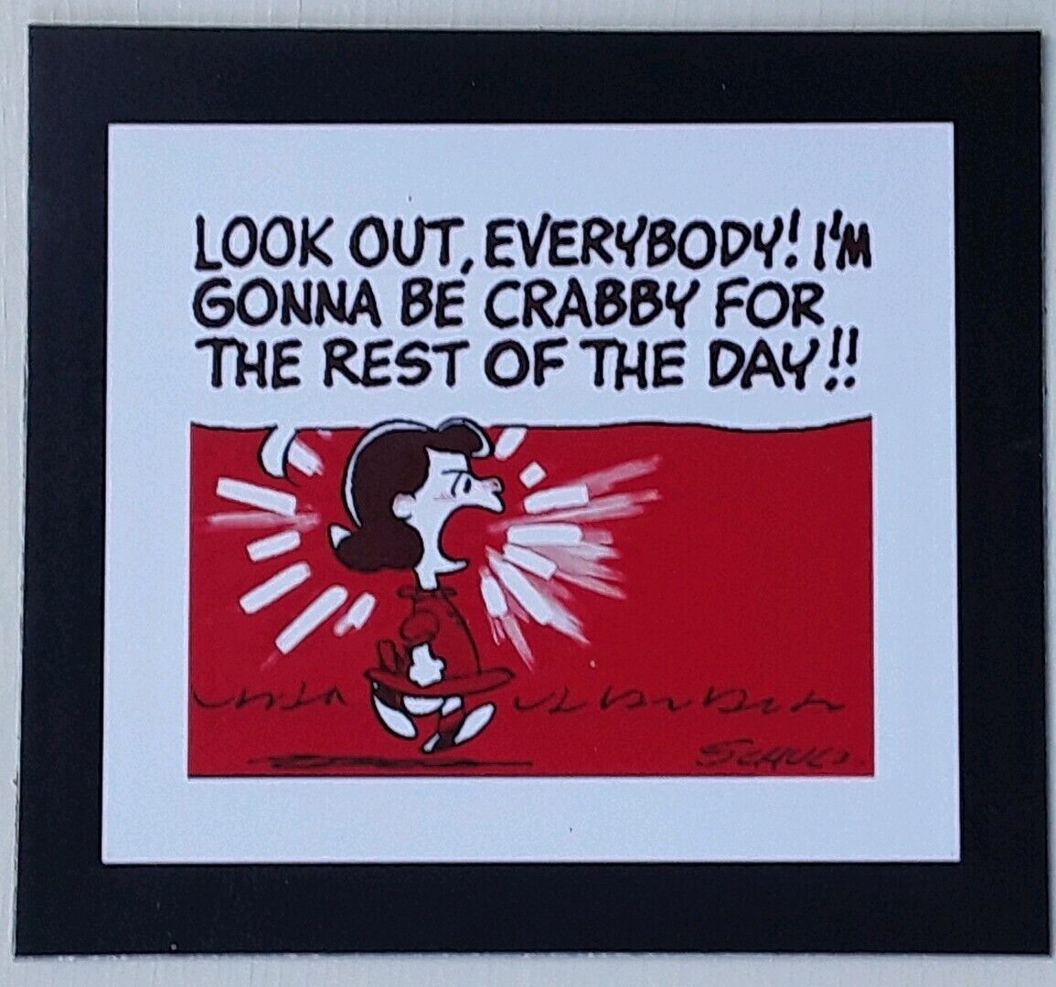 Peanuts ☆ Woodstock ☆ Lucy ♡ CRABBY ♡ Magnet