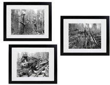 Lot of (3) Historic Matted & Framed Picture Photos Lumberjack Loggers Washington picture
