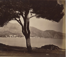 France, Menton, Cape Martin View Vintage Albumen Print Albumin Print 20x picture