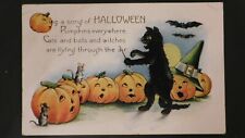 1924 Black Cat Halloween Postcard sent from Bartonsville, PA to Philadelphia, PA picture