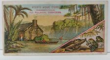 Ayer's Ague Cure Victorian Trade Card Lowell Mass Tonic Malaria Typhoid Fevers picture
