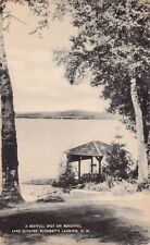 Lake Sunapee NH New Hampshire Blodgett Landing Newbury Artvue Vtg Postcard V8 picture