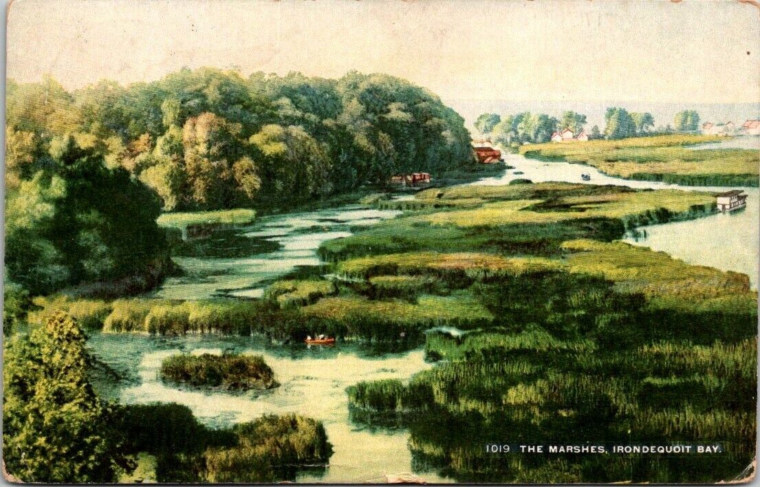 The Marshes Irondequoit Bay Rochester, NY Postcard Posted 1911