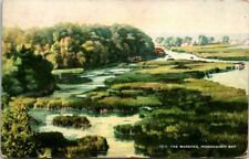 The Marshes Irondequoit Bay Rochester, NY Postcard Posted 1911 picture