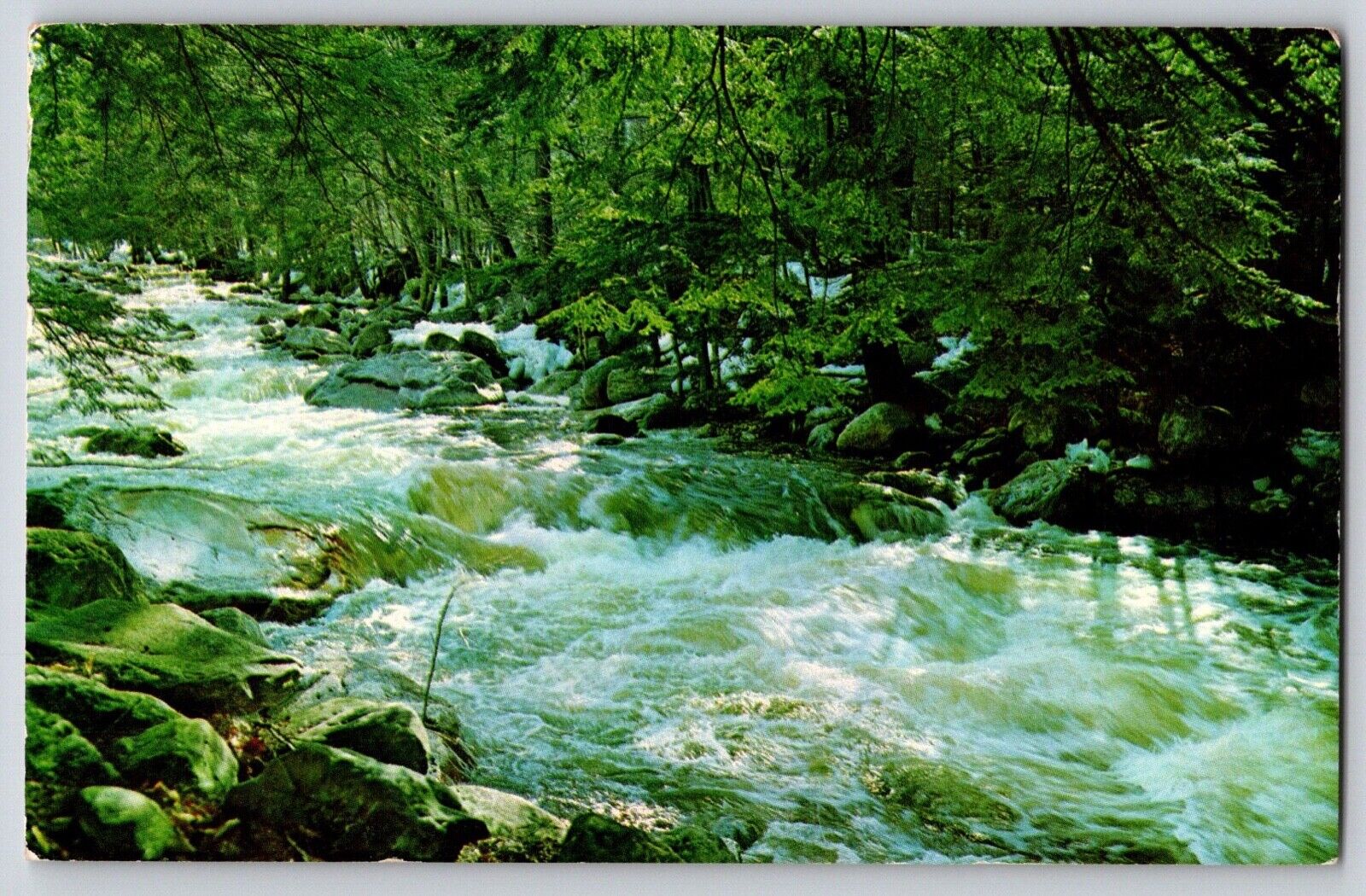 Postcard Arlington Vermont White Foam of Spring Roaring Branch Battenkill River