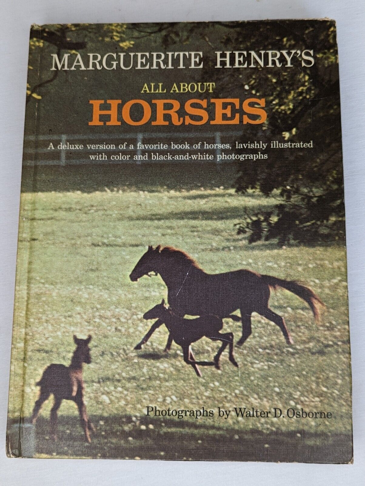 Marguerite Henry's ALL ABOUT HORSES Collectible Book Vintage 1967