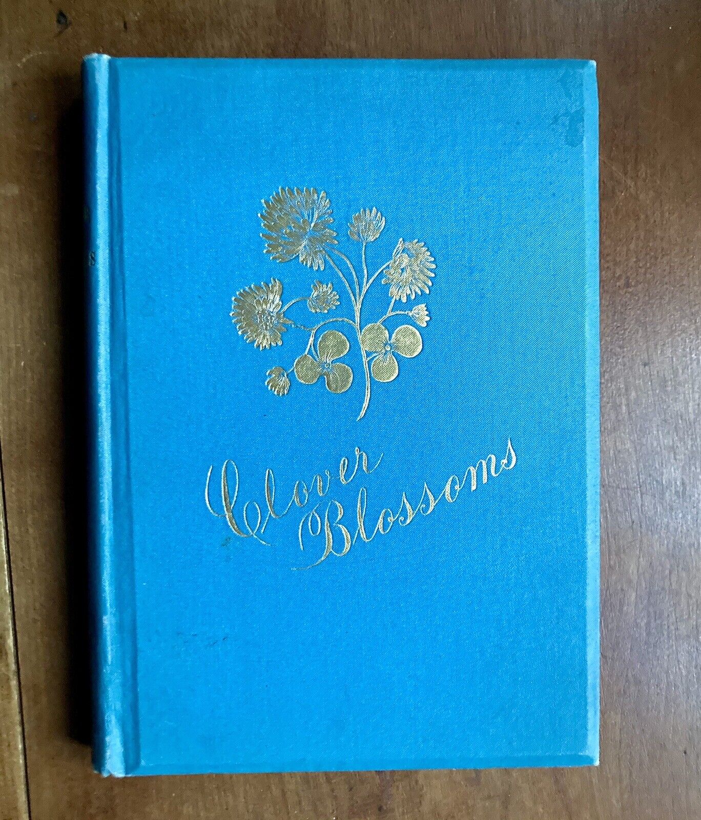 Clover Blossoms:Suffragette Votes for Women: E Hedge Webster: Boston 1894 Signed