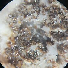 Rare Francolite & Siderite Crystals Holmbush M. Stoke Cumsland Cornwall England  picture