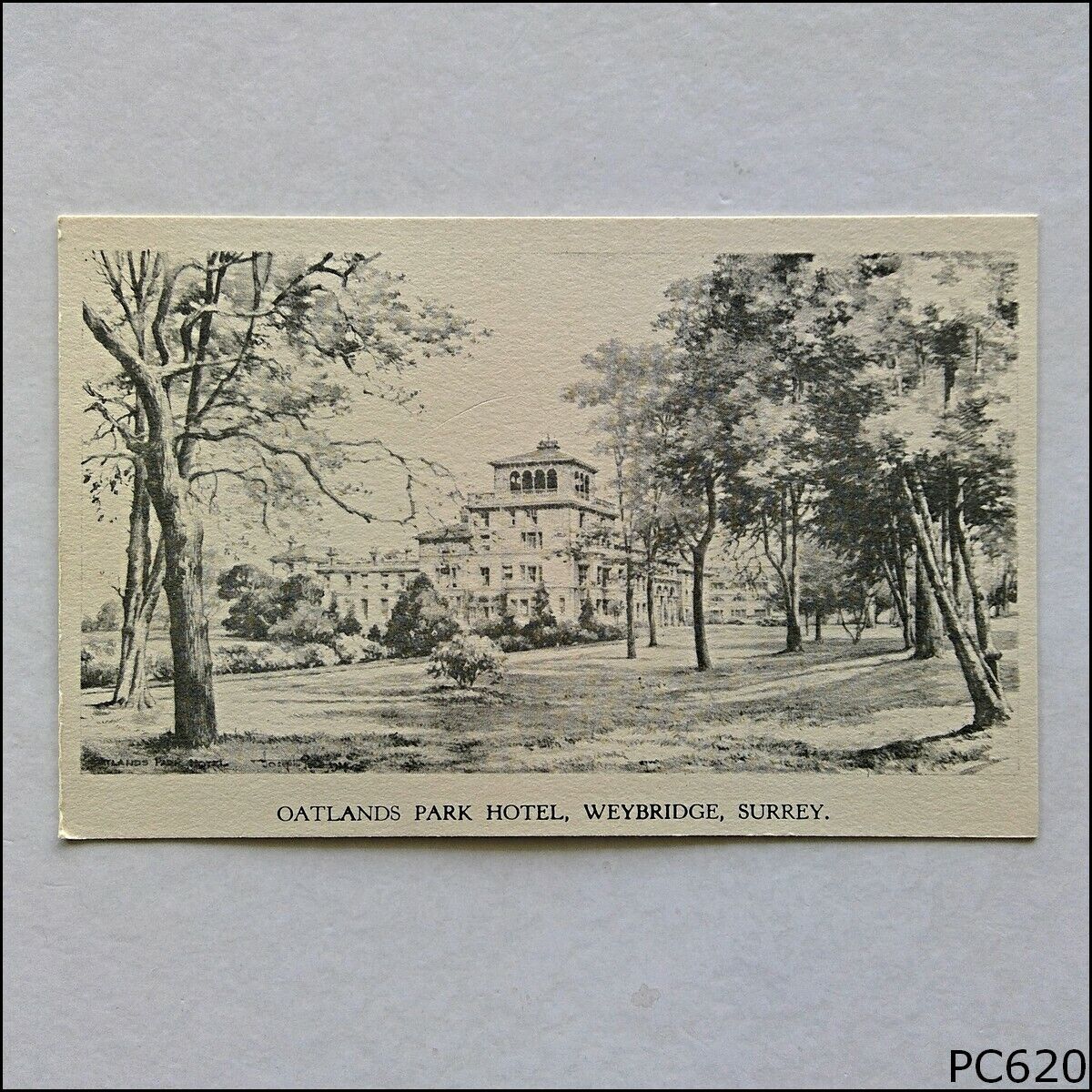 Oatlands Park Hotel Weybridge Surrey Postcard (A) (P620)