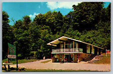 Jamaica Vermont Leonard's Gift Shop New England Architecture Vintage Postcard picture