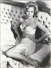 JAYNE GREY  PORTRAIT  9X7 VINTAGE STILL PHOTO GLAMOUR RARE PIN UP IN BRA MGM picture