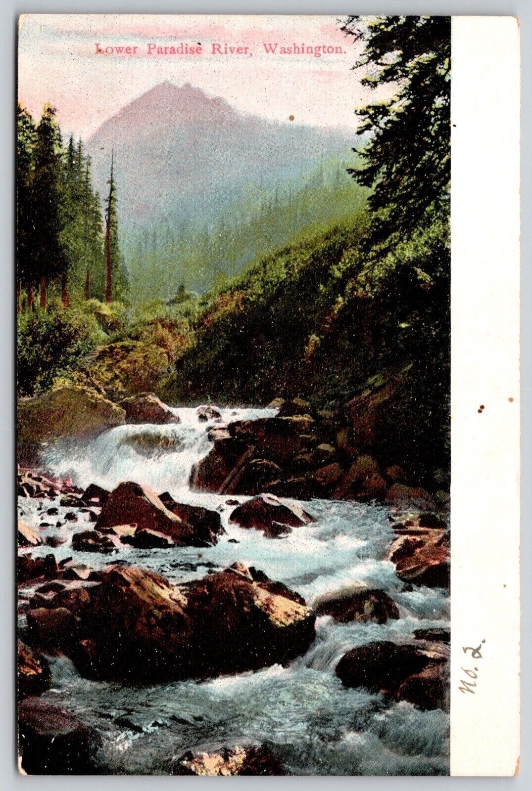 Lower Paradise River Washington Postcard