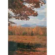Moby Dick Author Autumn Mount Greylock Pittsfield MA Postcard picture
