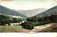 The Hopper Landscape Williamstown MA Undivided Unused Postcard c1905 picture