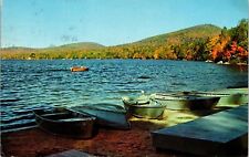 Maidstone Lake State Park Vermont Wob Note 1987 Guildhall Cancel Vt Postcard picture