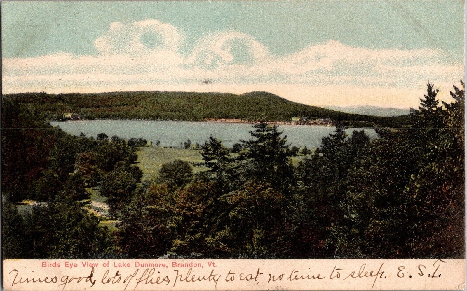 Aerial View of Lake Dunmore Brandon VT UDB c1906 Vintage Postcard T19