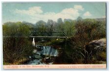 1909 Bridge At The Glen Side View Bridge Williamsville New York NY Postcard picture