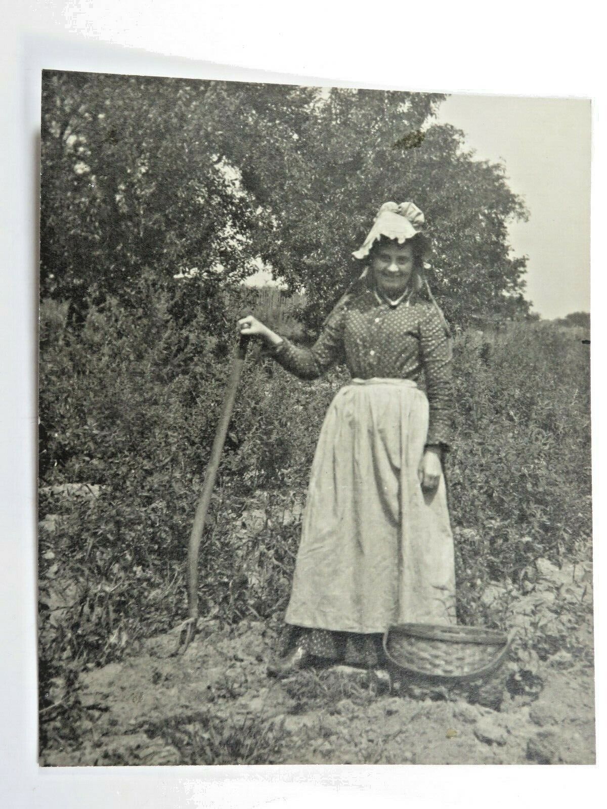 Antique Original Photograph C W Chamberlin Cleveland OH Lady With Basket A7738