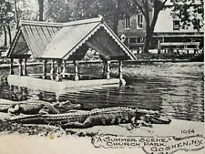 Postcard Goshen NY - c1900s Alligators in Church Park picture