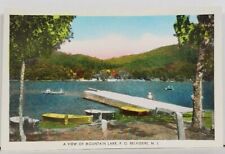 Belvidere NJ A View of Mountain Lake  Pier Boats Hand Colored Postcard M3 picture