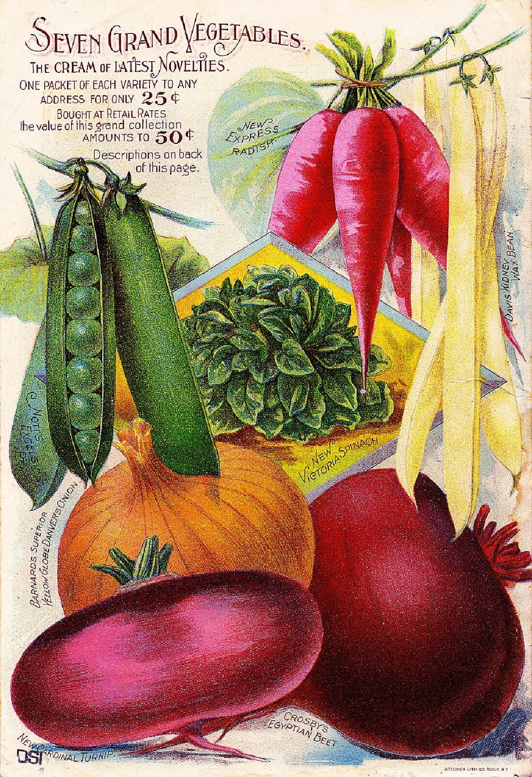 Barnard Seven Vintage Vegetable Seed Packet Catalogue Advertisement Poster 