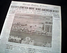 MAN O' WAR Grandson Gusto Win American Derby Race Horse Racing 1932 Newspaper  picture