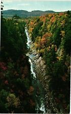 Vintage Postcard - Quechee Gorge River, Trees Vermont VT Un- Posted #920 picture