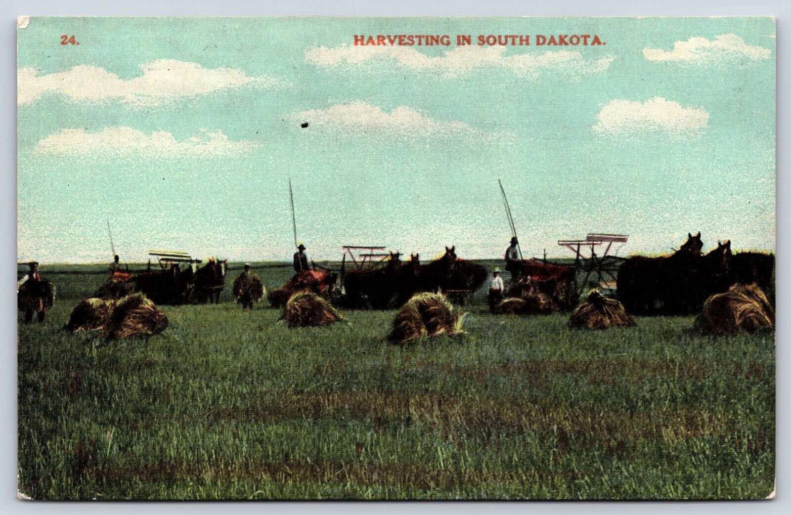 South Dakota Harvesting Farm Work  Vintage Postcard