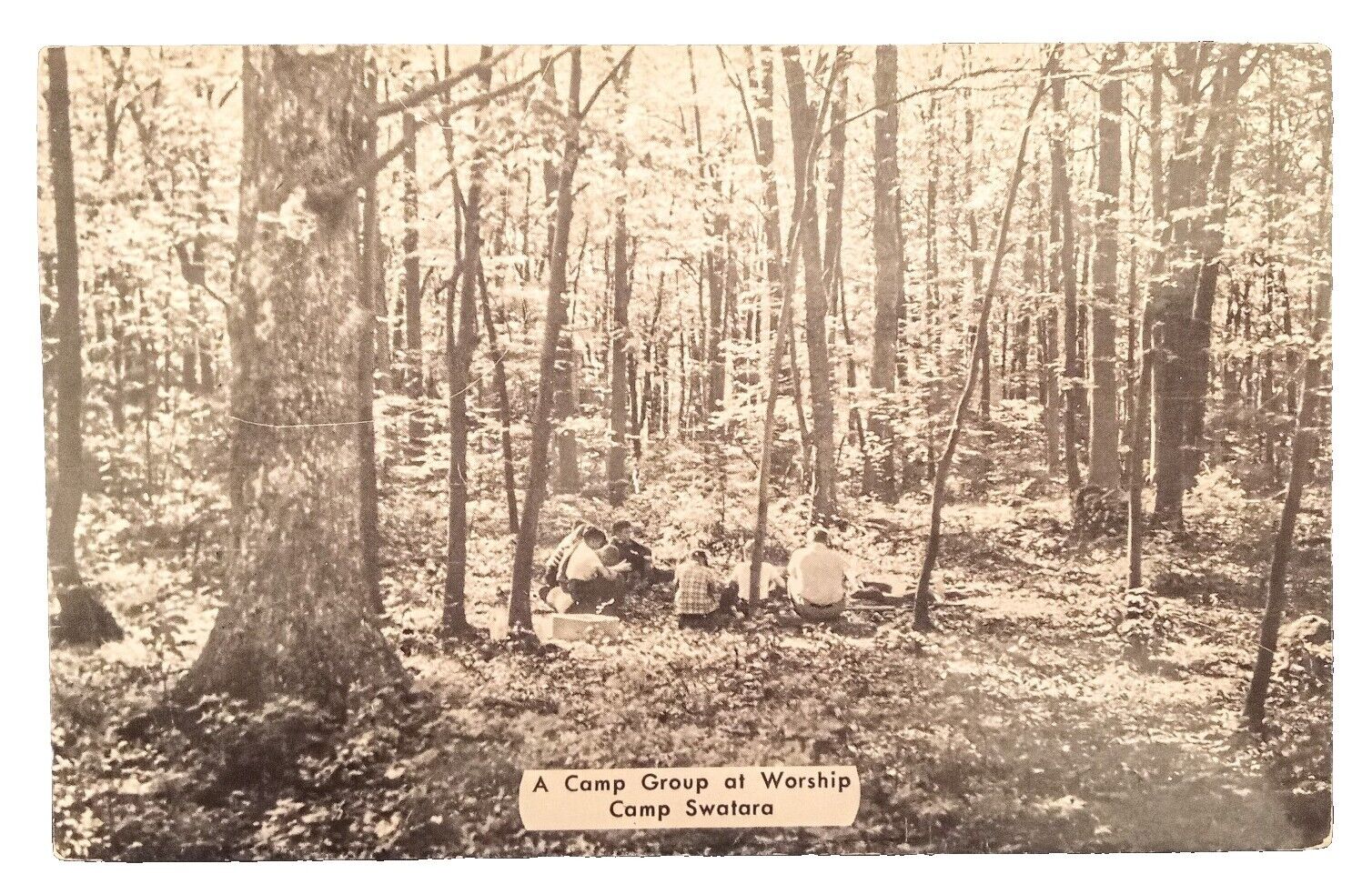 A Camp Group at Worship, Camp Swatara BETHEL PA Vintage Postcard