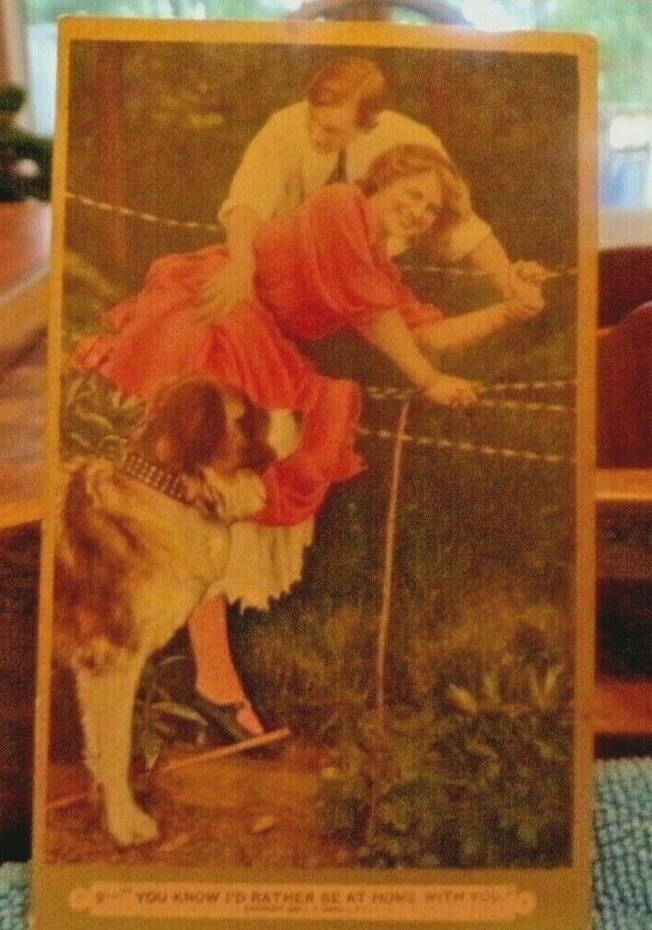 vintage Comic Postcard-Couple Going Through the Fence w/ St. Barnard Dog