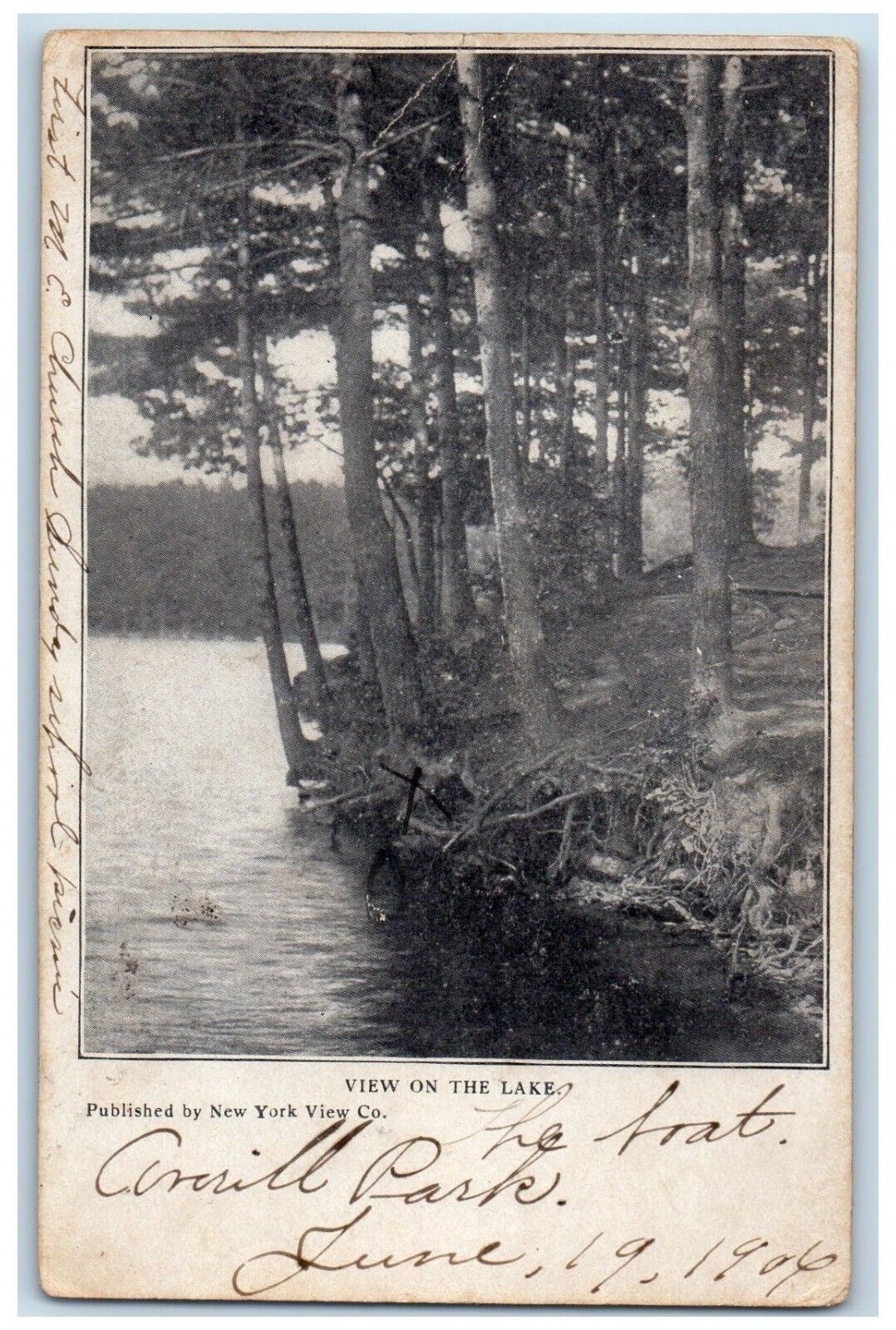c1905 View On The Lake Swamp Averill Park New York NY Vintage Antique Postcard