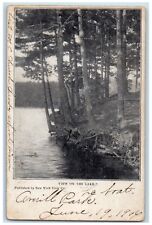 c1905 View On The Lake Swamp Averill Park New York NY Vintage Antique Postcard picture