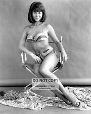 ANNE HEYWOOD ENGLISH ACTRESS PIN UP - 8X10 PUBLICITY PHOTO (FB-885) picture