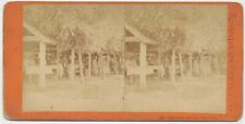NEW YORK SV - Rochester - Charlotte Picnic Grounds 1880s picture