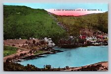 Belvidere New Jersey A View of Mountain Lake P.O. Old NJ Postcard Hand Colored picture