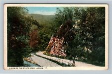 Ludlow VT-Vermont, View Of State Road c1917 Vintage Postcard picture