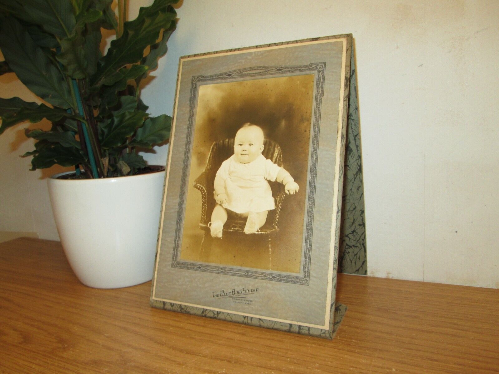 Antique Photograph of Baby The Blue Bird Studio Roxbury Massachusetts USA