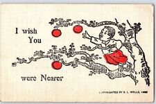 C1900 Postcard I Wish You Were Nearer R L Wells Apple Tree Posted Edmore MI 1907 picture
