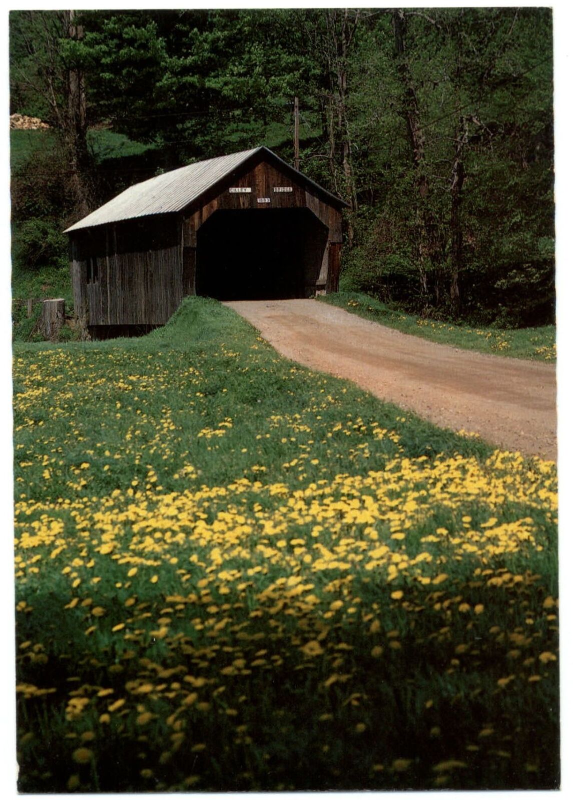 Cilley Covered Bridge Turnbridge Vermont ~ postcard  sku145