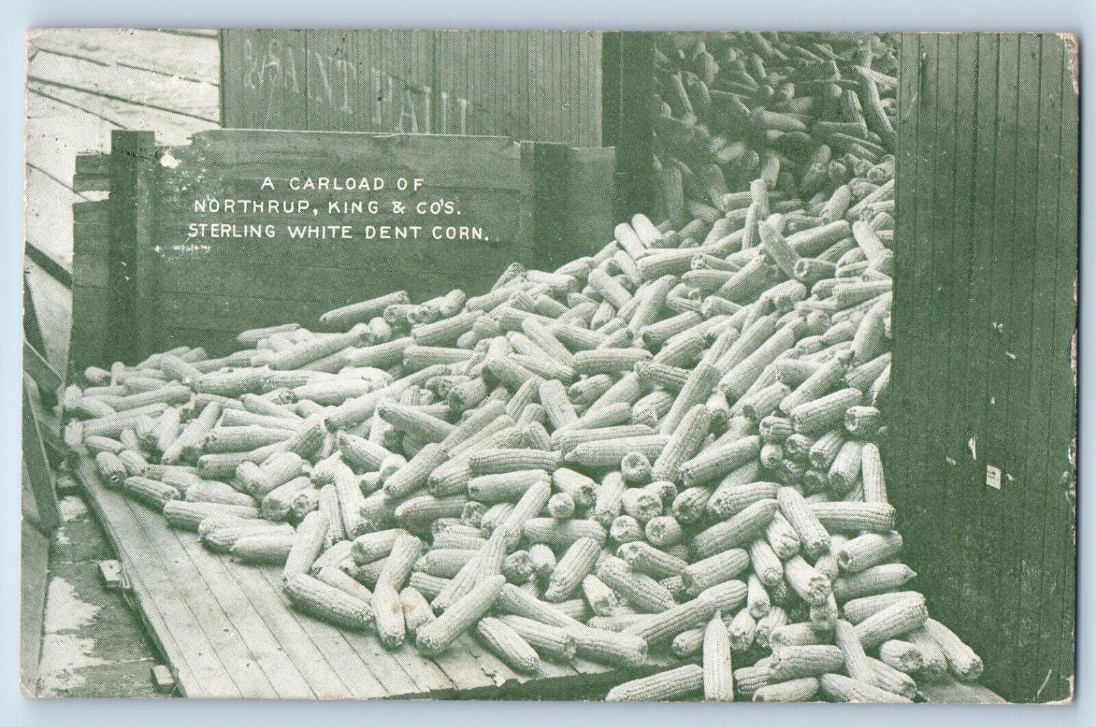 Arlington MN Postcard Carload Of Northrup King & Co White Dent Corn Advertising