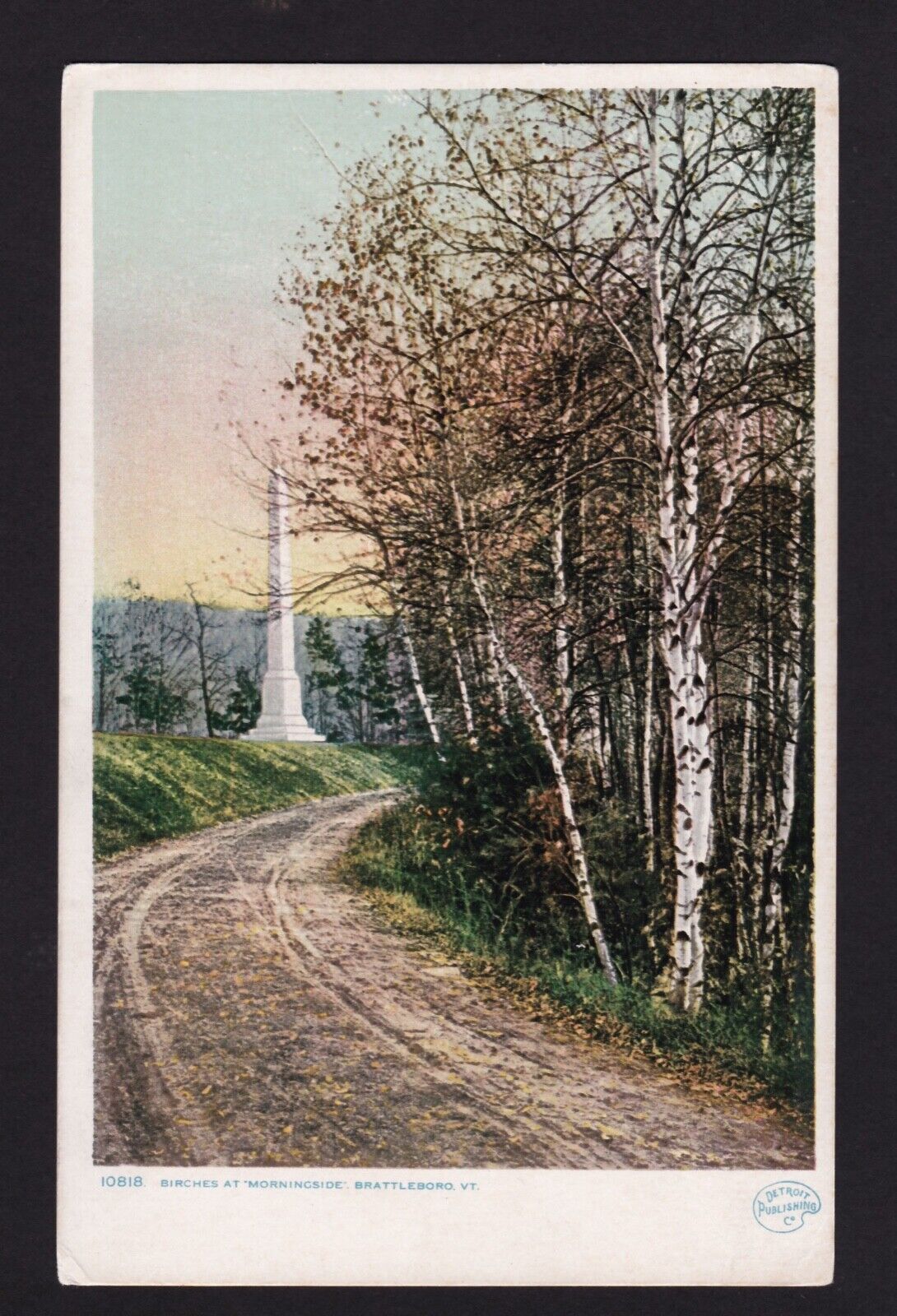 c1908 Birch Trees at Morningside Brattleboro Vermont postcard
