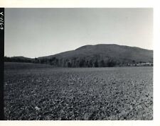 WINSTON BANFILL FARM - Rare PHOTOGRAPH - Lemington, VERMONT - Stubble Mulch  picture