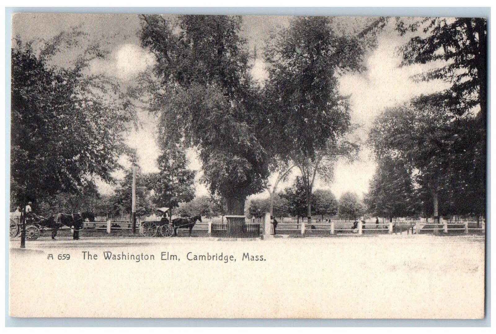 Cambridge Massachusetts Postcard Washington Elm Exterior c1905 Vintage Antique