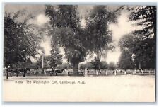 Cambridge Massachusetts Postcard Washington Elm Exterior c1905 Vintage Antique picture