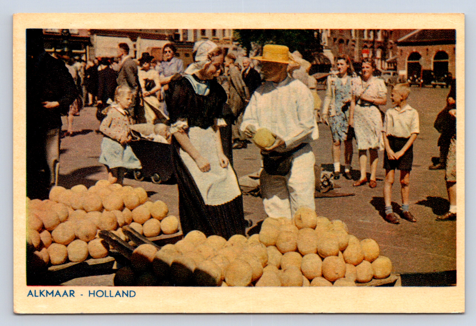 Vintage Postcard Alkmaar Holland Fruit