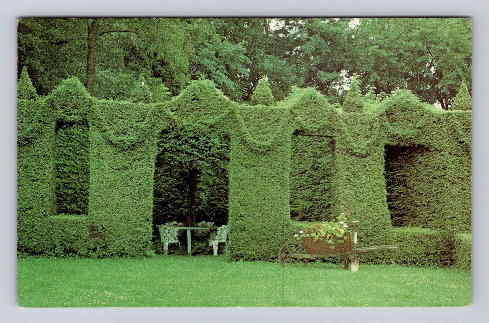 Monkton MD-Maryland, Topiary Garden, Mr. Harvey Ladew's Garden Vintage Postcard