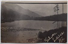 1910s Silver Lake Washington Real Photo Postcard RPPC Log Boom Scene AZO picture