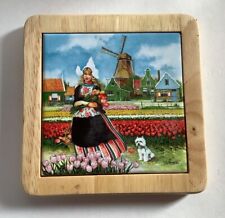 Holland Framed Picture Plaque picture