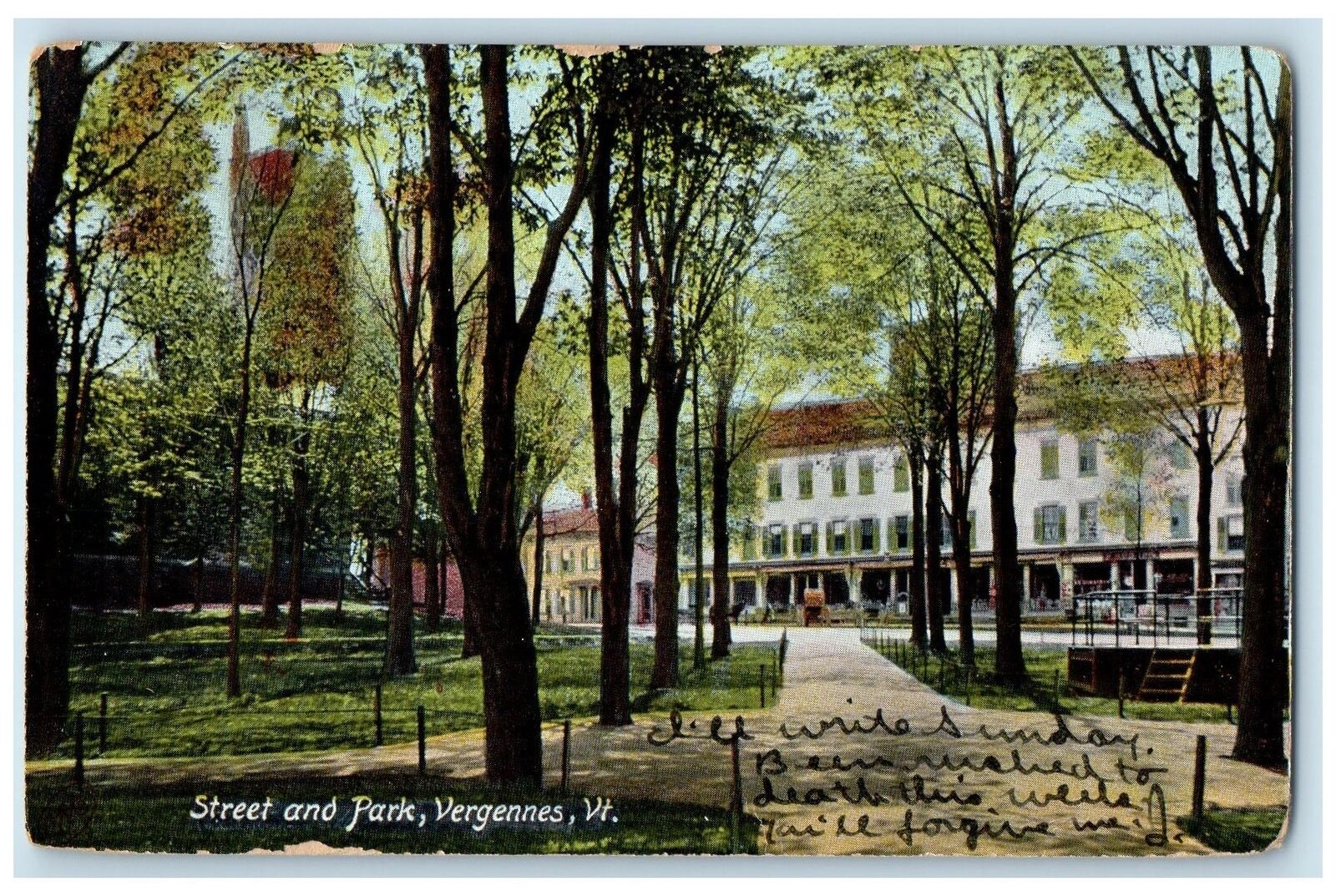 1907 Street & Park Pathways Building Tress View Vergennes Vermont VT Postcard